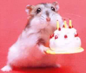 http://mystikfofo.free.fr/1hamsters/hamsterBirthday.jpg